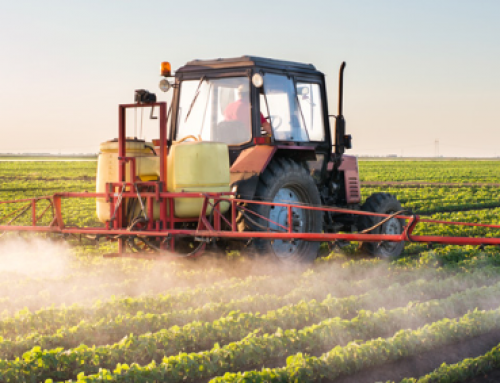 Los peligros de los pesticidas en los alimentos convencionales
